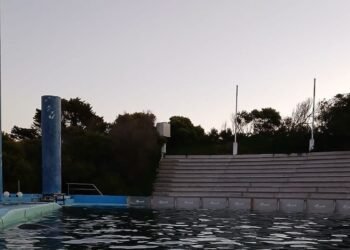 Inspectan el estado de salud de animales en el ex Aquarium de Mar del Plata