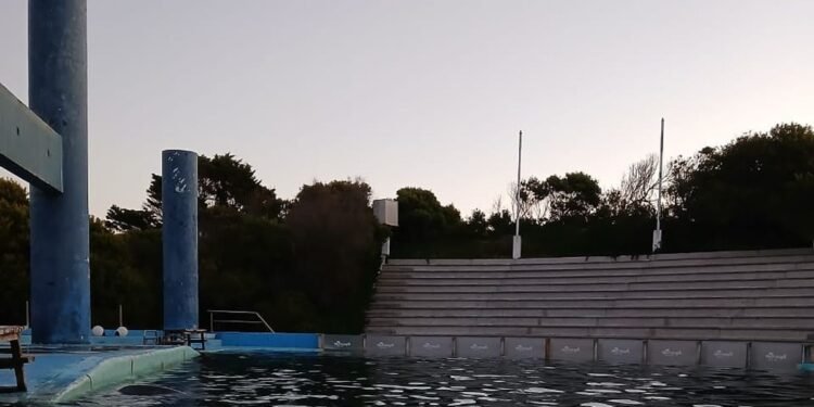 Inspectan el estado de salud de animales en el ex Aquarium de Mar del Plata