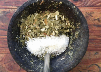 Coco rallado: la nueva tendencia que transforma el mate en placer único