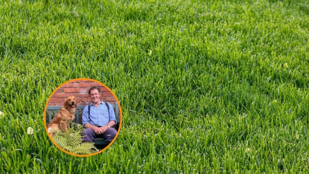 Primavera: consejos esenciales para mantener el césped libre de musgo