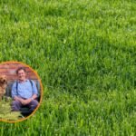 Primavera: consejos esenciales para mantener el césped libre de musgo
