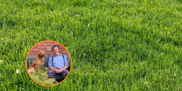 Primavera: consejos esenciales para mantener el césped libre de musgo