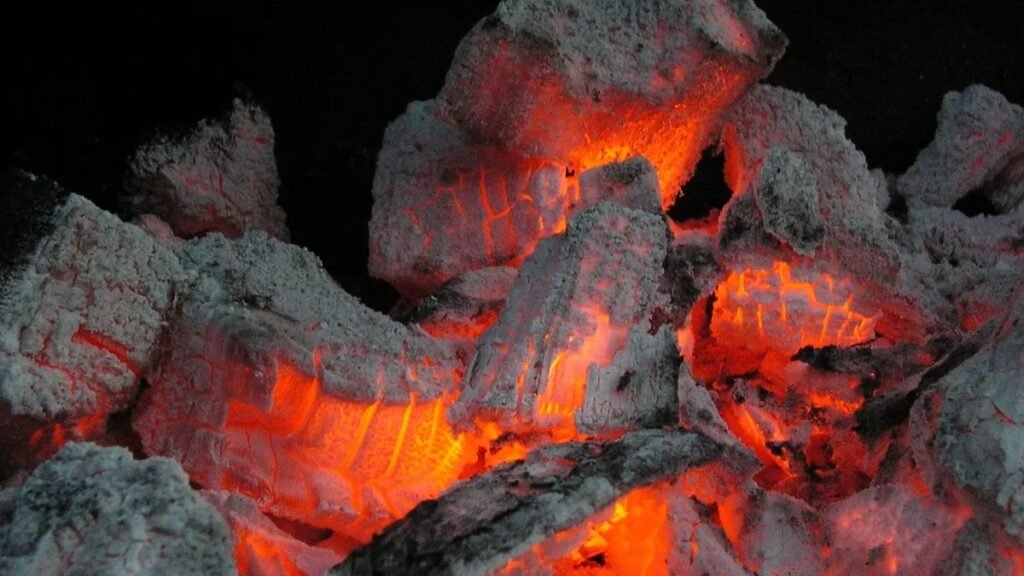 La sal en las brasas: el secreto para un asado perfecto y sabroso