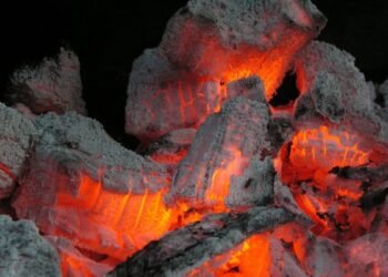 La sal en las brasas: el secreto para un asado perfecto y sabroso