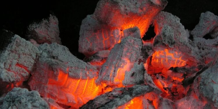 La sal en las brasas: el secreto para un asado perfecto y sabroso