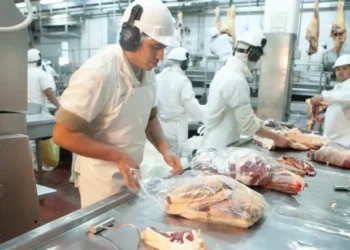 El Gobierno elimina retenciones para carne bovina y avícola hasta fin de octubre 2025