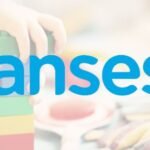 ¿De cuánto será la Asignación Universal por Hijo en octubre de 2025?