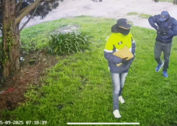 Detienen a dos delincuentes que se hacían pasar por policías en Mar del Plata tras intento de robo