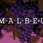 La Linda Malbec 2024 conquista el oro en los IWC Wine Industry Awards