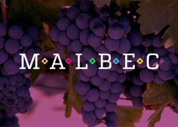 La Linda Malbec 2024 conquista el oro en los IWC Wine Industry Awards