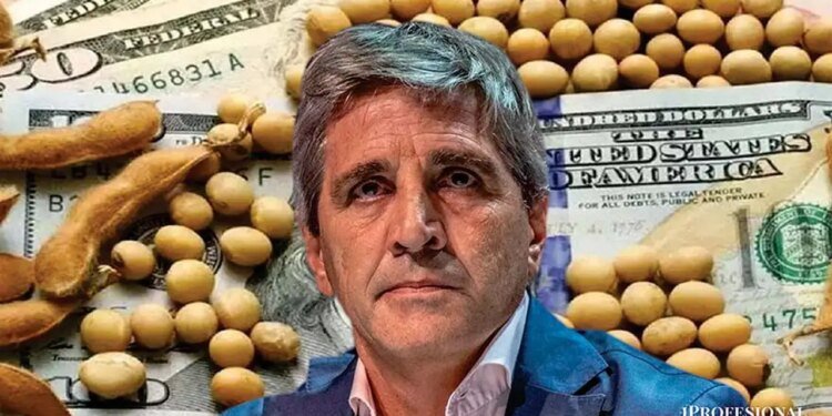 El campo agotó el cupo de exportaciones y retenciones vuelven a subir