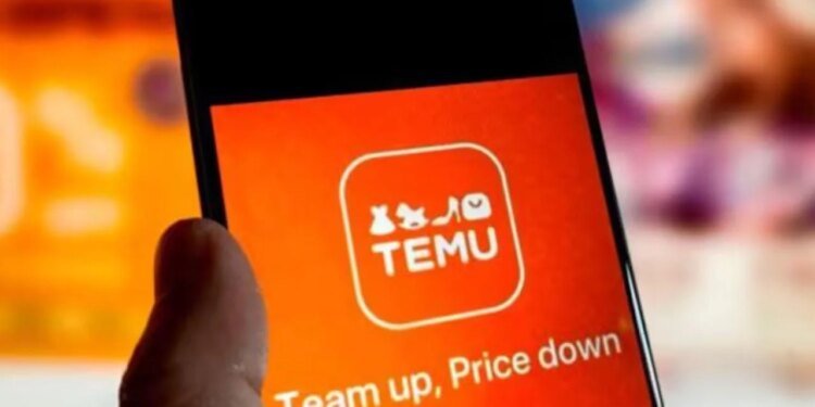 Hombre compra en Temu y recibe un paquete inesperado que se vuelve viral