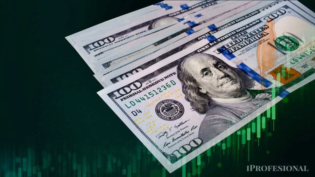 El Banco Central no compra divisas y ahorristas están en la mira