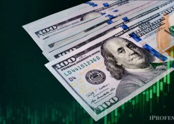 El Banco Central no compra divisas y ahorristas están en la mira