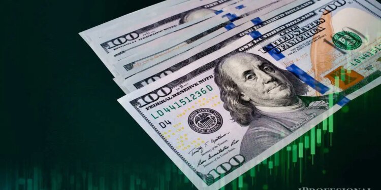 El Banco Central no compra divisas y ahorristas están en la mira