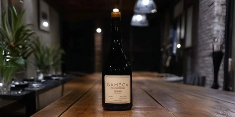 Bodega Gamboa transforma la experiencia del vino a solo 45 minutos de CABA