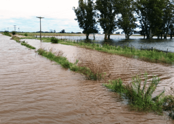Gobierno declara emergencia agropecuaria en la Provincia de Buenos Aires