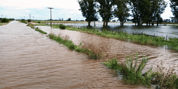 Gobierno declara emergencia agropecuaria en la Provincia de Buenos Aires