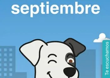 Cuenta DNI impulsa ventas en comercios de Gonzales Chaves: ¿Te sumas?