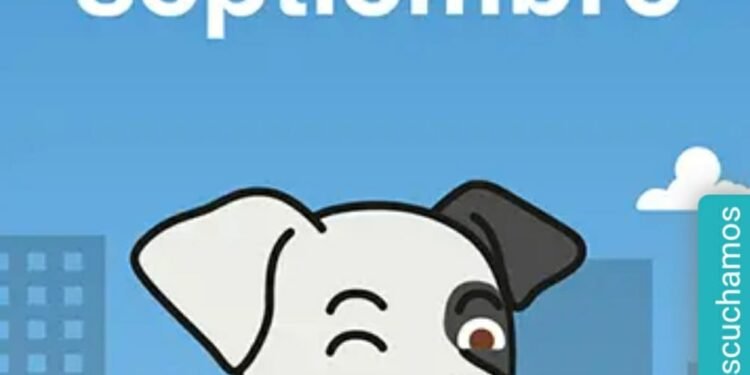 Cuenta DNI impulsa ventas en comercios de Gonzales Chaves: ¿Te sumas?