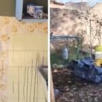 Encuentran los cuerpos de tres jóvenes en un crimen vinculado al narcotráfico