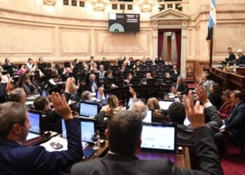El Senado anuló el veto de Milei y obligó a promulgar la ley de discapacidad