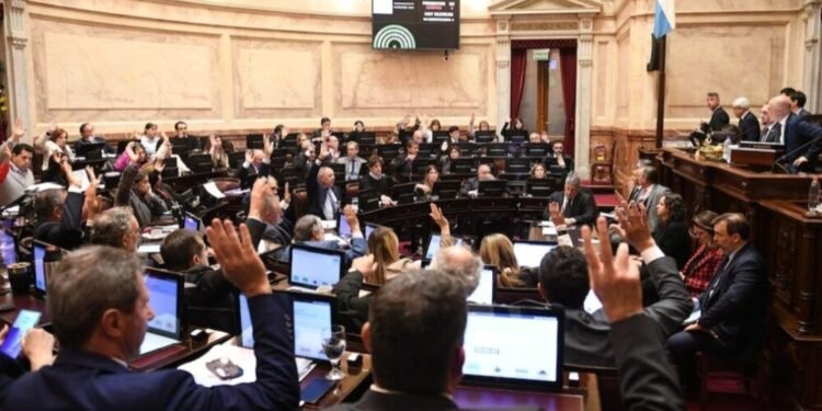El Senado anuló el veto de Milei y obligó a promulgar la ley de discapacidad