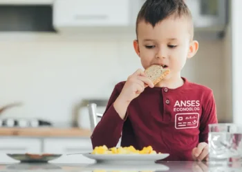 Capital Humano responde dudas sobre la Tarjeta Alimentar y más beneficios