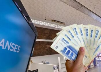 ANSES confirma que AUH, AUE y asignaciones quedan sin beneficios en comercios