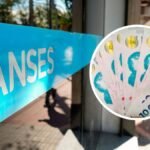 ANSES: ¿Cuáles son los requisitos para cobrar la asignación por adopción?