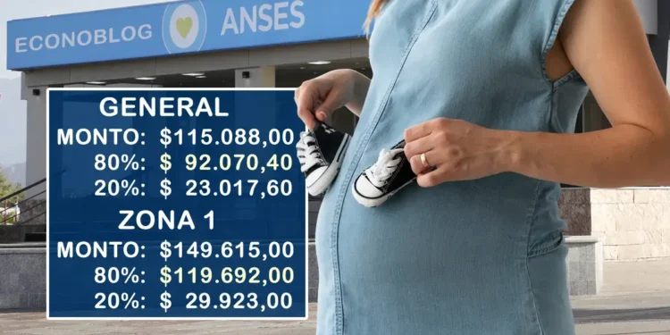Se confirmaron los nuevos montos de la asignación por embarazo en septiembre