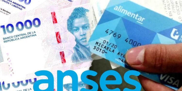 AUH y Tarjeta Alimentar: ¿Cuáles son los montos que se cobran en septiembre?