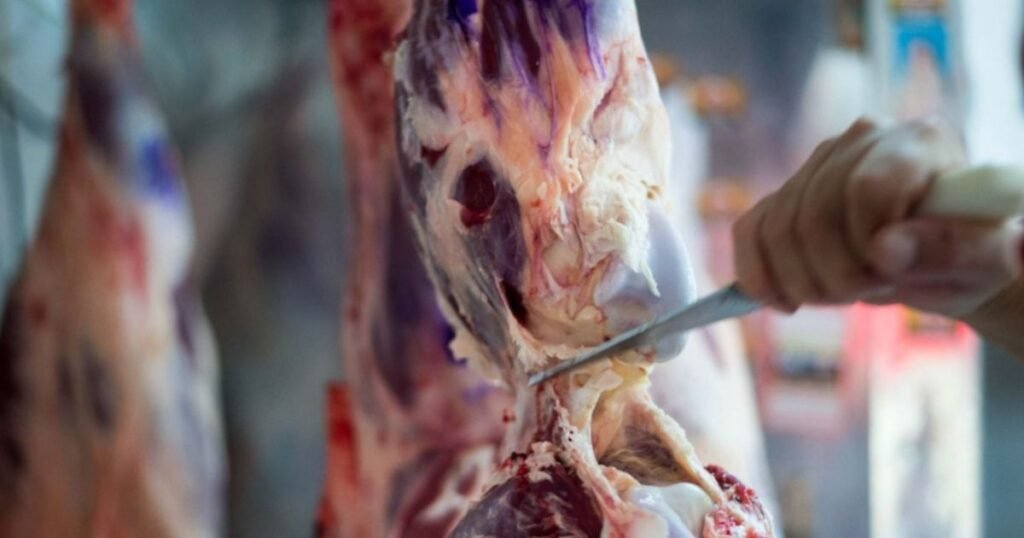 Descuentos especiales en Cuenta DNI por el aniversario del Banco Provincia