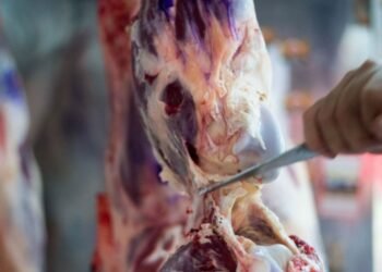 Descuentos especiales en Cuenta DNI por el aniversario del Banco Provincia