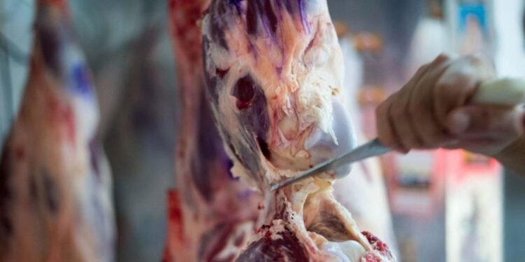 Descuentos especiales en Cuenta DNI por el aniversario del Banco Provincia