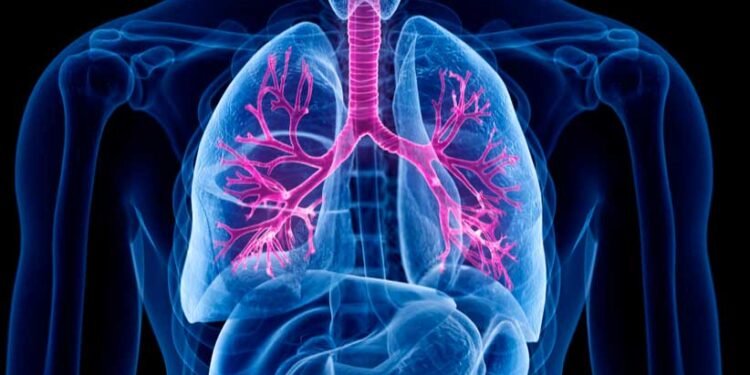 Día Mundial de la Fibrosis Quística: concientizan sobre diagnóstico temprano