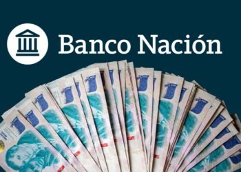 Los créditos ANSES para beneficiarios: ¿Qué se debe saber antes de solicitar?