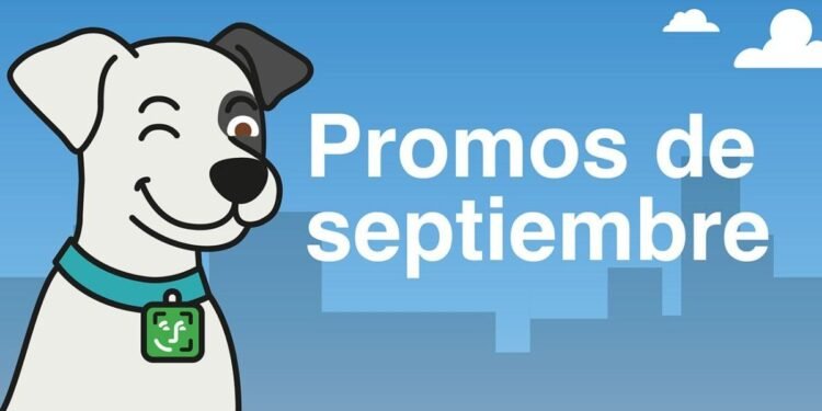 Cuenta DNI ofrece descuentos increíbles en alimentos y garrafas este mes