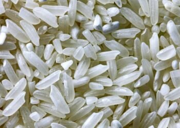 Lavar el arroz antes de cocinarlo mejora su textura y seguridad alimentaria