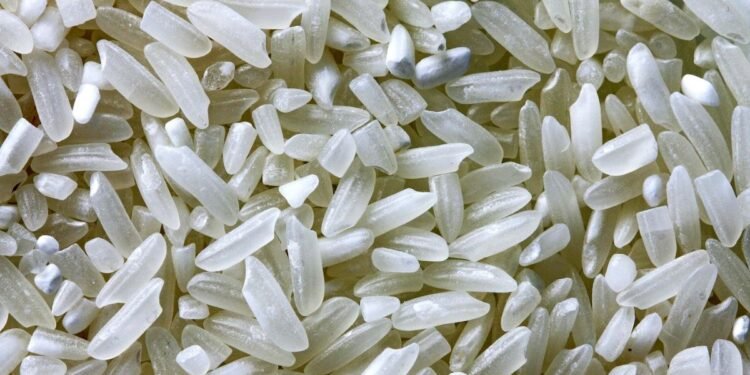 Lavar el arroz antes de cocinarlo mejora su textura y seguridad alimentaria