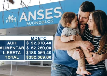 Anses: ¿Cuánto se cobrará en septiembre por la AUH y la Tarjeta Alimentar?