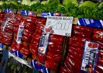 Cuenta DNI: hasta el 18 de septiembre, ¡descubre las ofertas en panadería!