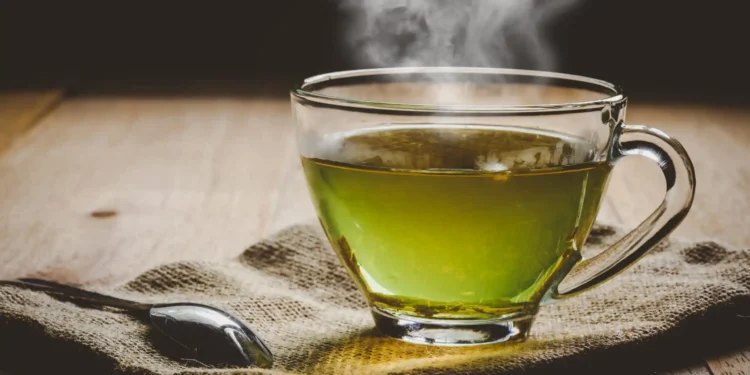 Infusión de aguaribay: el aliado natural contra el resfrío invernal