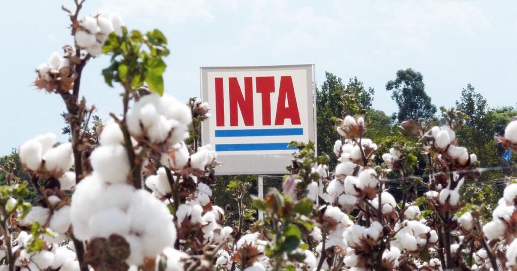 El Gobierno anunció el traslado del 12 de octubre y un nuevo fin de semana largo