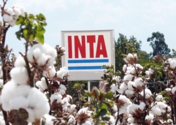 El Gobierno anunció el traslado del 12 de octubre y un nuevo fin de semana largo