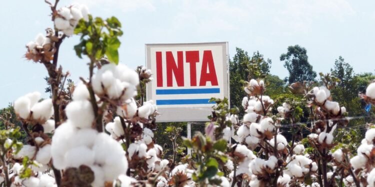 El Gobierno anunció el traslado del 12 de octubre y un nuevo fin de semana largo