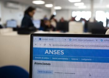 Cómo acceder a tu historia laboral y consultar los aportes jubilatorios