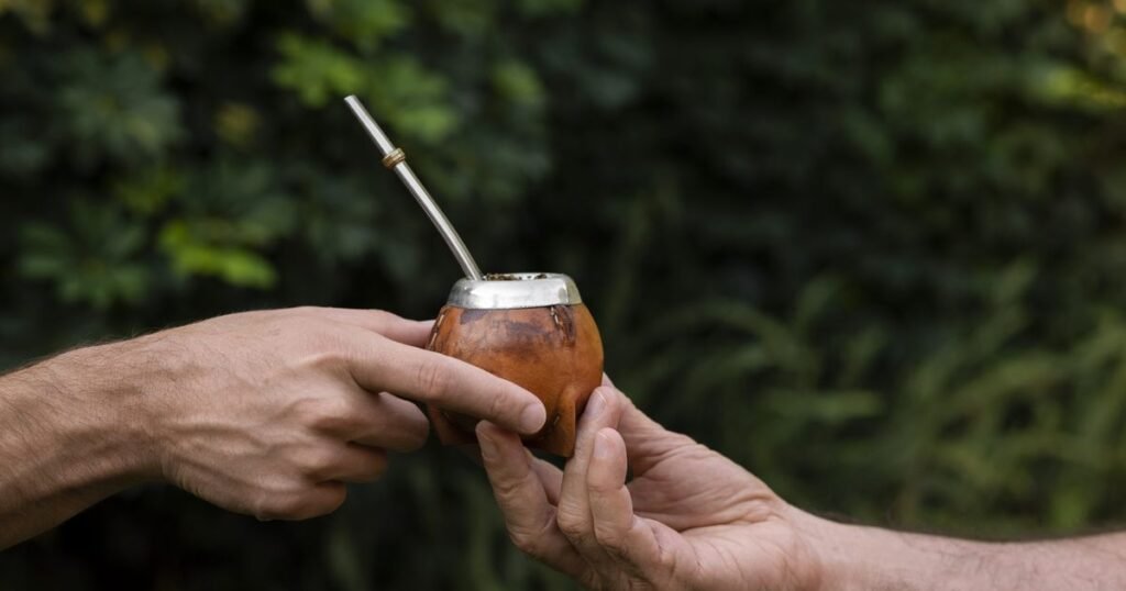 Descubren documentos inéditos de Houssay sobre los efectos del mate en la salud