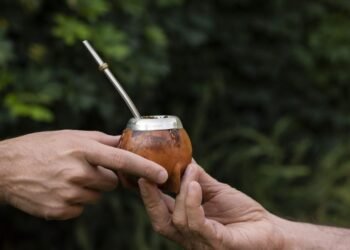 Descubren documentos inéditos de Houssay sobre los efectos del mate en la salud