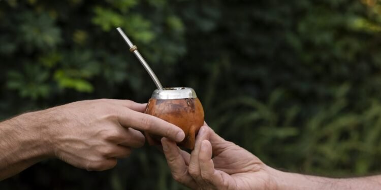 Descubren documentos inéditos de Houssay sobre los efectos del mate en la salud